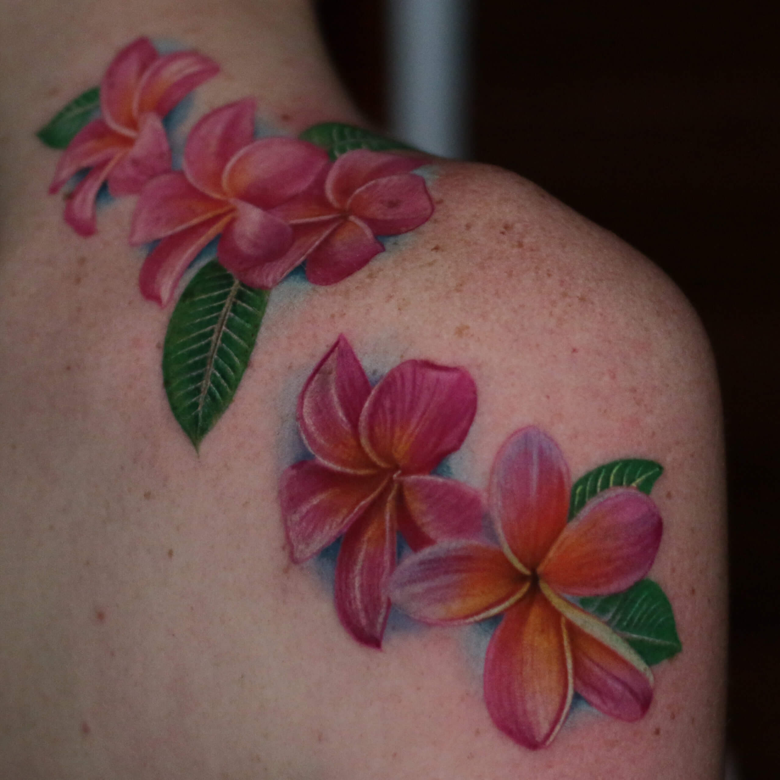 18 top Plumeria Tattoo ideas in 2024