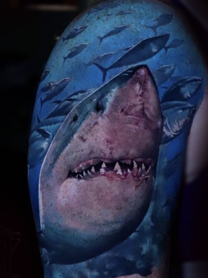 shark Tattoo